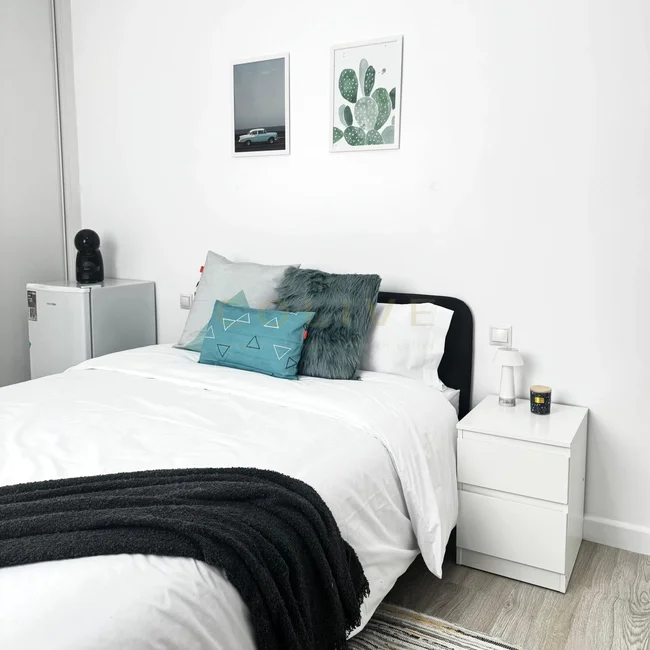 SE154-7-R4-Chamberí-Santa Engracia-9428