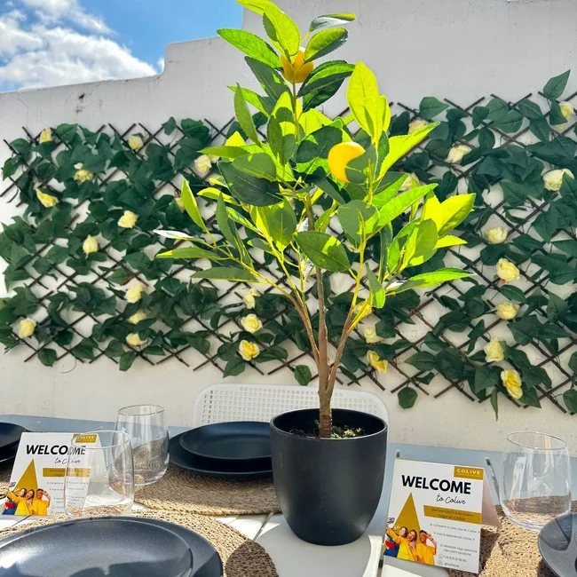 SE154-7-R3-Chamberí-Santa Engracia-9423