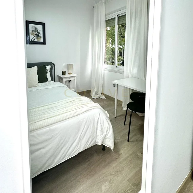 S81.1R5-Salamanca-Calle Serrano-8956