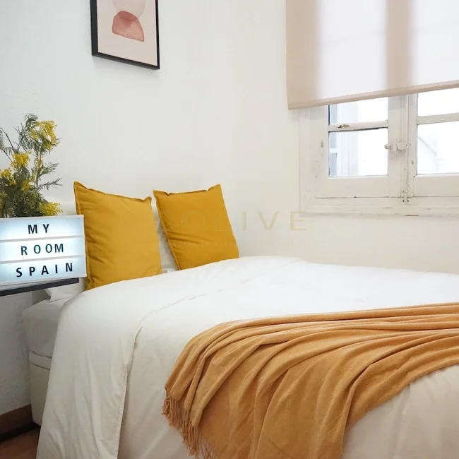 G41-5R5-Salamanca-Goya-6456