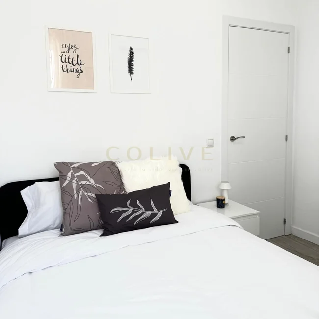 SE154-7-R3-Chamberí-Santa Engracia-9411