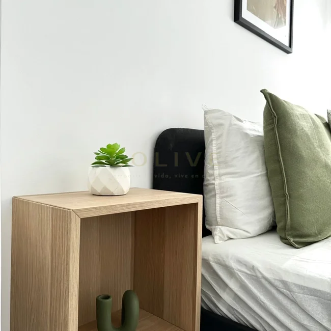 C266R5-Chamartín-Castellana-9058