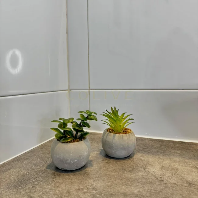 S81.1R3-Salamanca-Calle Serrano-9276