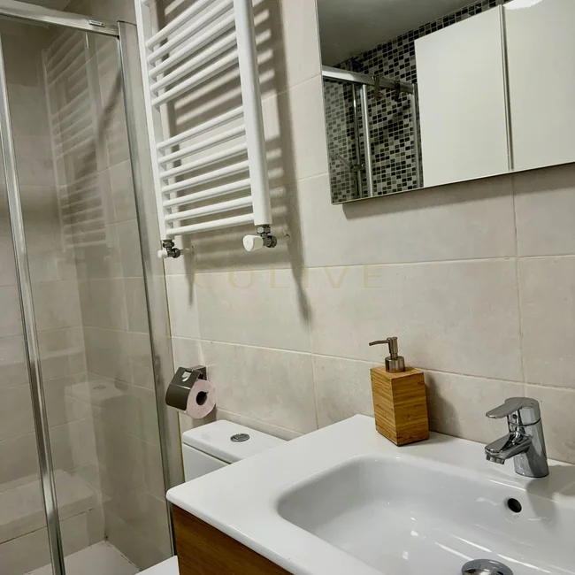 IF20R4-Centro-Calle de las Infantas-7028