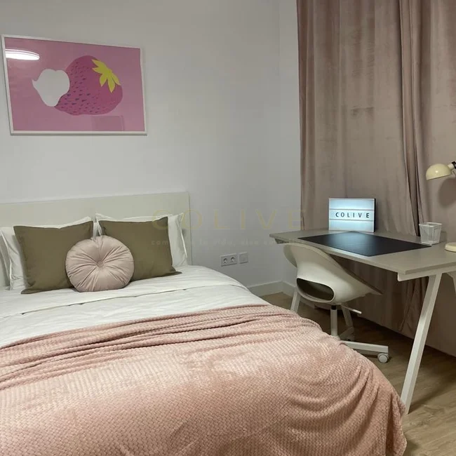 G41-1R7-Salamanca-Goya-7411