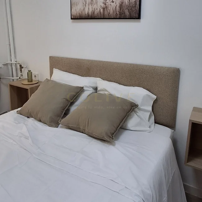 GEB83R5-Chamberí-Guzmán el Bueno-9733