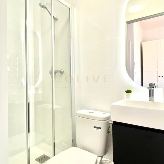 RLLR7-Centro-Redondilla-7451