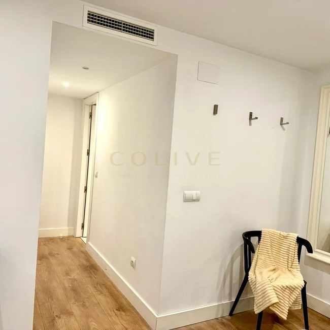 IF20R2-Centro-Calle de las Infantas-8546