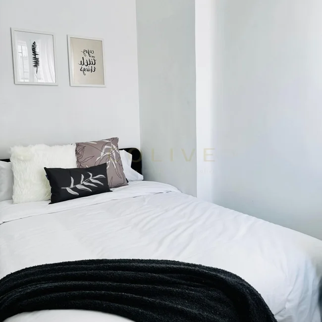 SE154-7-R3-Chamberí-Santa Engracia-9408