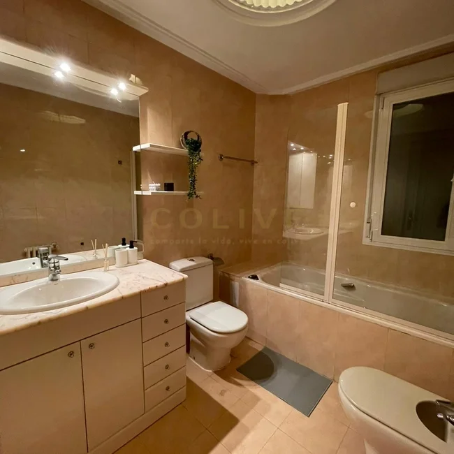 G85R3-Salamanca-Goya-8819