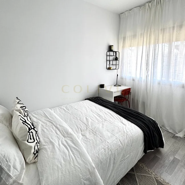 C266R6-Chamartín-Castellana-9072