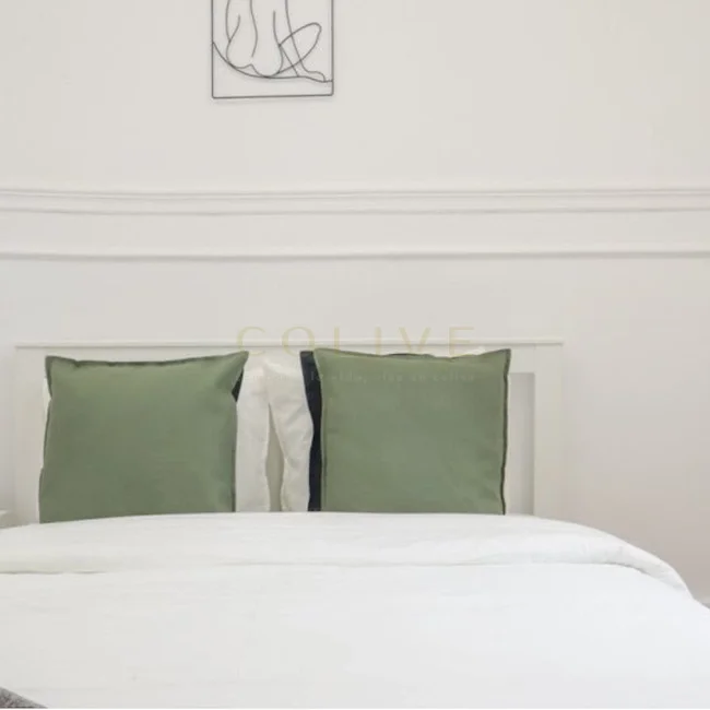 G41-5R6-Salamanca-Goya-6469