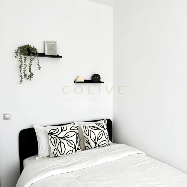 C266R6-Chamartín-Castellana-9071