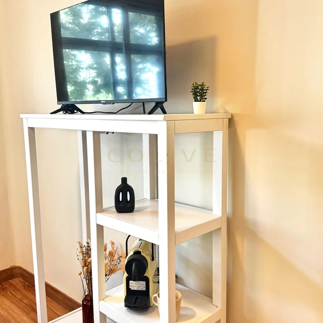 S81-1-IZQR3-Salamanca-Serrano-9485