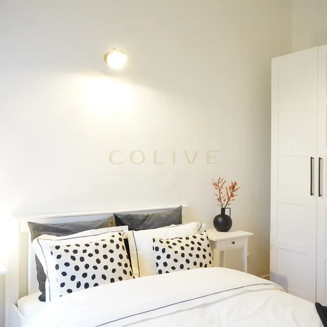 A105R8-Salamanca-Calle Alcala-7967