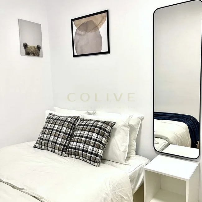 G41-1R4-Salamanca-Goya-8380