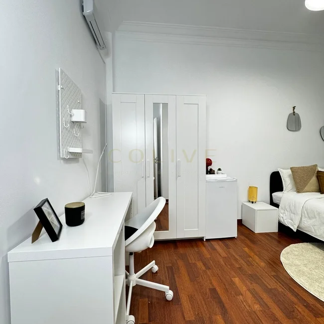 S81.1R1-Salamanca-Calle Serrano-8919