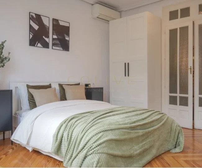 G41-5R1-Salamanca-Goya-8514