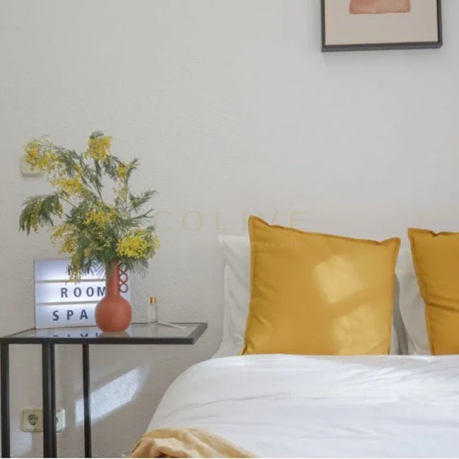 G41-5R5-Salamanca-Goya-6461