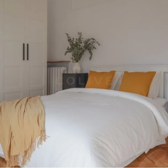 G41-5R2-Salamanca-Goya-6425