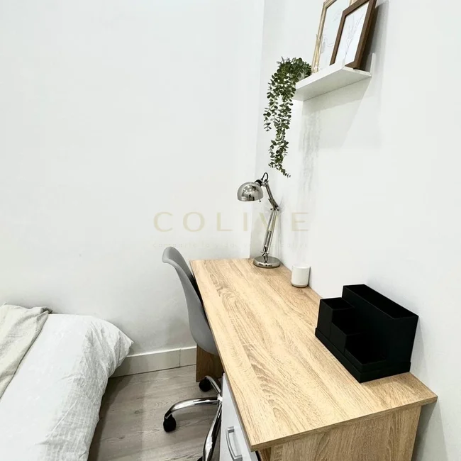 S81R1-Salamanca-Serrano-7773