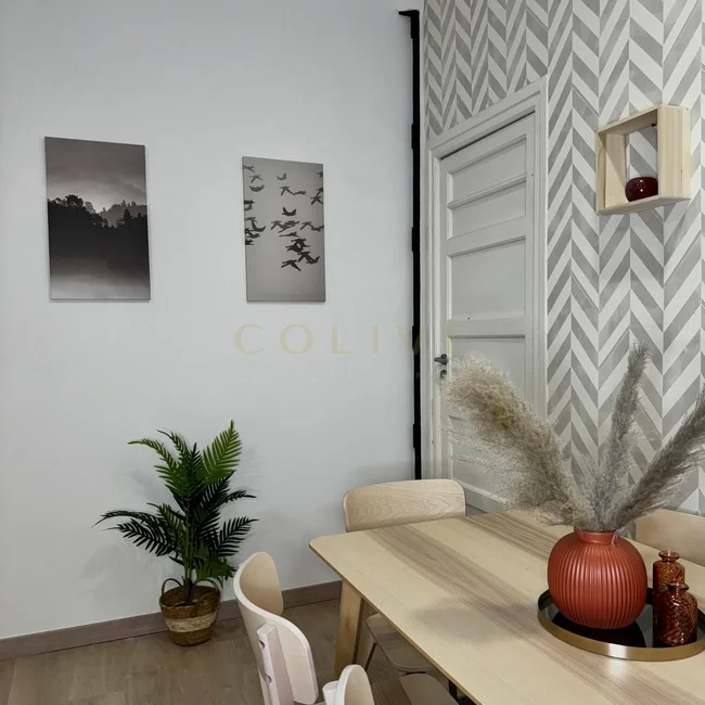 S81.1R2-Salamanca-Calle Serrano-8936