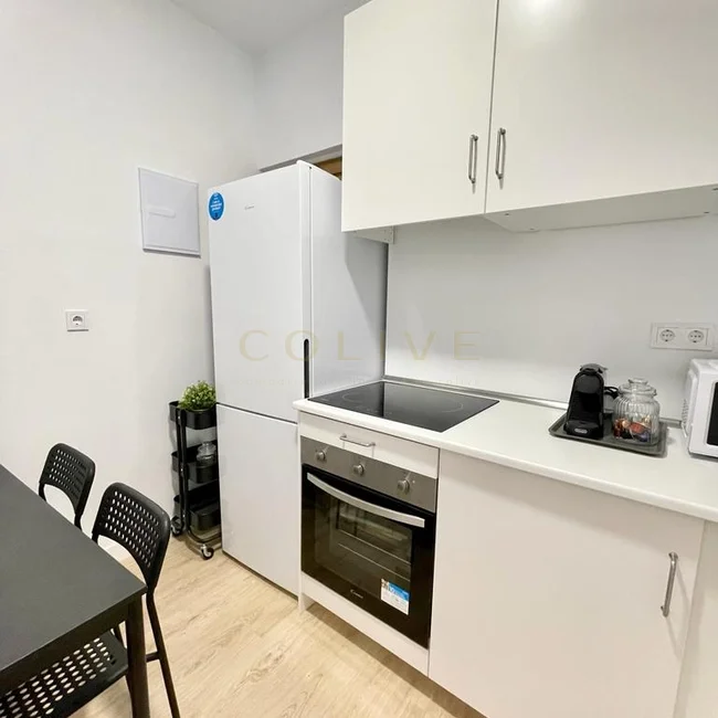 G41-1R3-Salamanca-Goya-7399