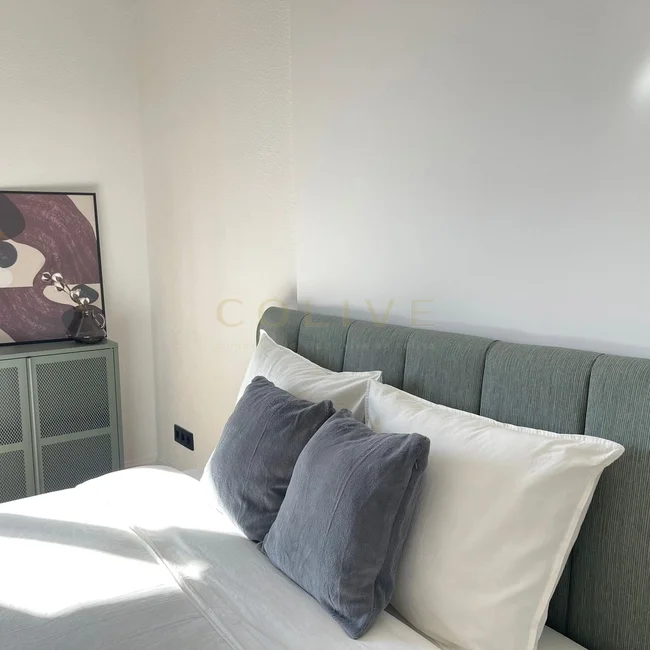 PR56R6-Moncloa-Aravaca-Paseo del Pintor Rosales-7084