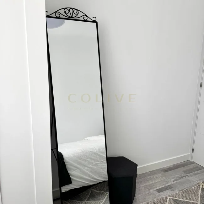 C266R6-Chamartín-Castellana-9073