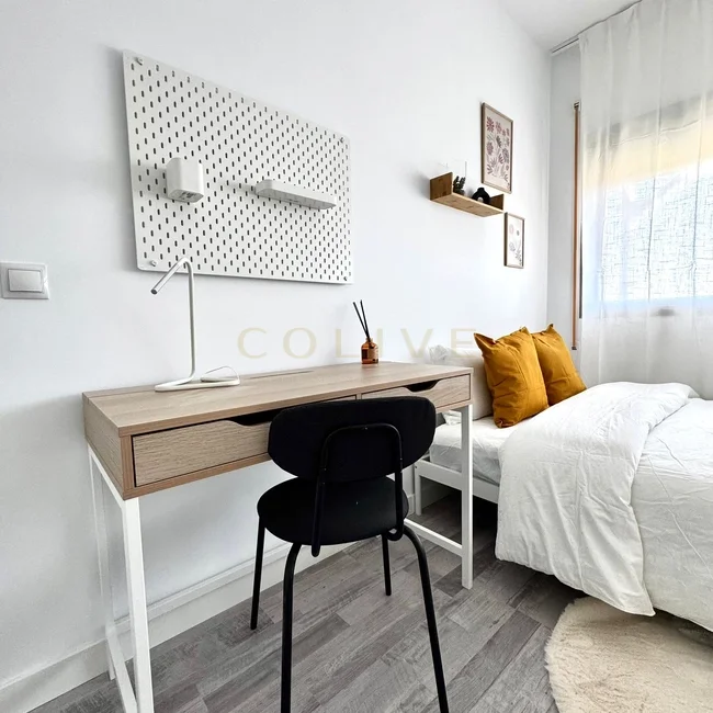 C266R7-Chamartín-Castellana-9085