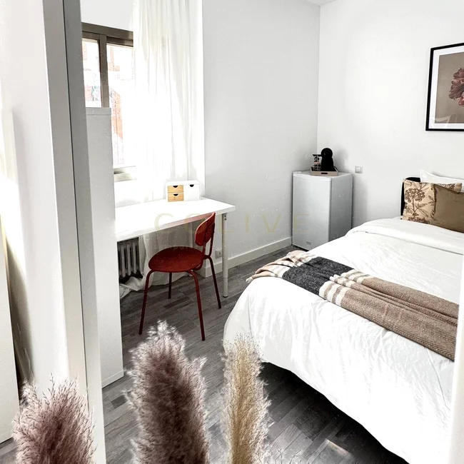 C266R1-Chamartín-Castellana-9108