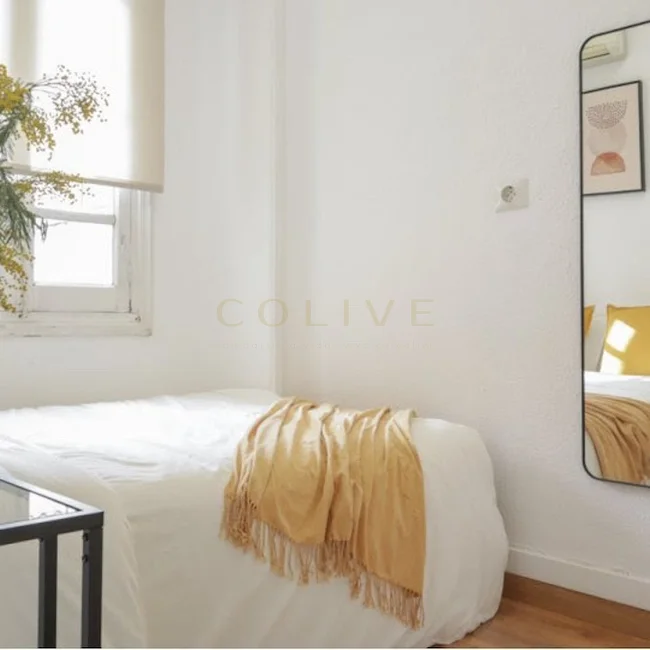 G41-5R5-Salamanca-Goya-6460