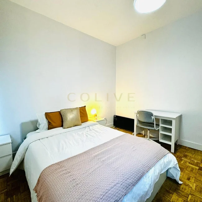 G114R5-Salamanca-Goya-8444