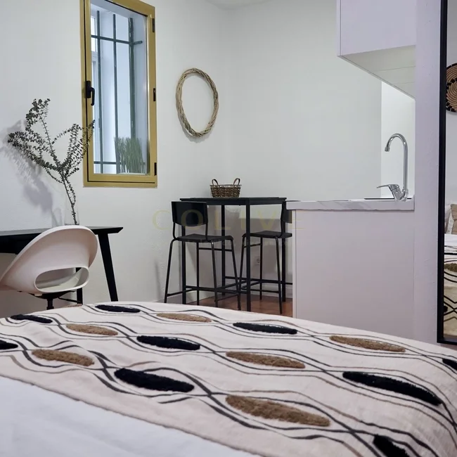 G83R1-Salamanca-Goya-8234