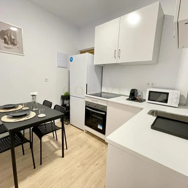 G41-1R2-Salamanca-Goya-7389