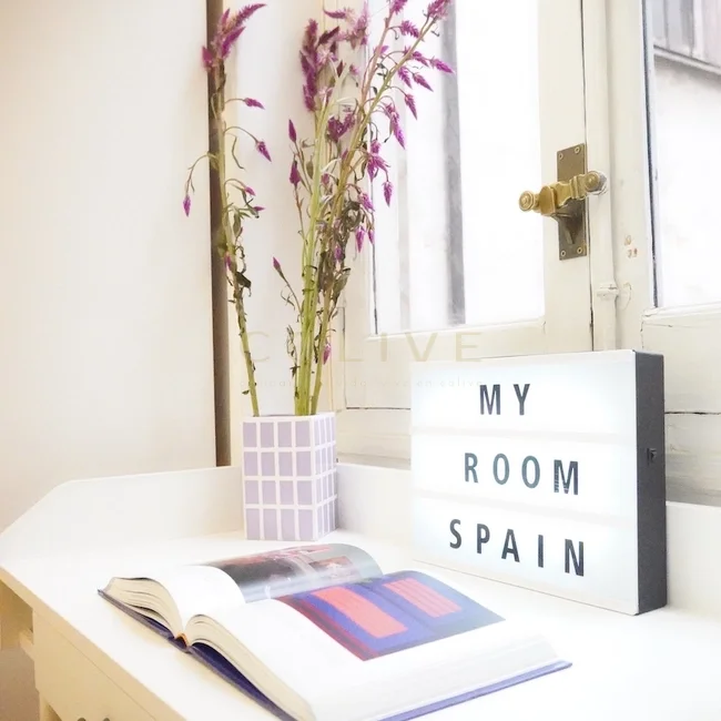 G41-5R6-Salamanca-Goya-6471