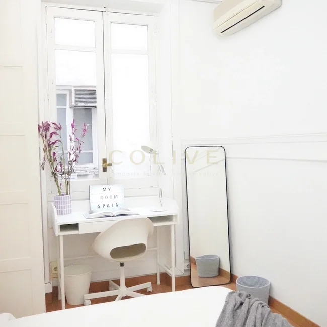 G41-5R6-Salamanca-Goya-6470