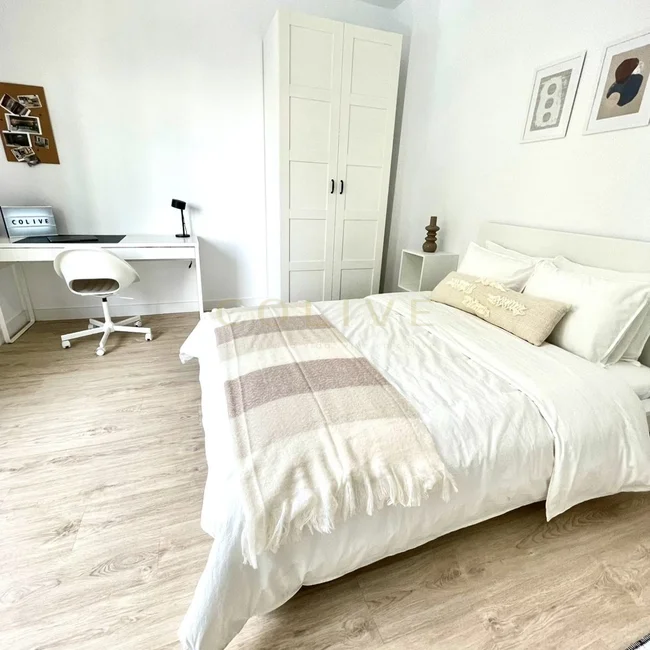 G41-1R2-Salamanca-Goya-8349