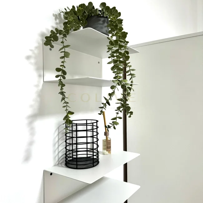 S81.1R3-Salamanca-Calle Serrano-9271