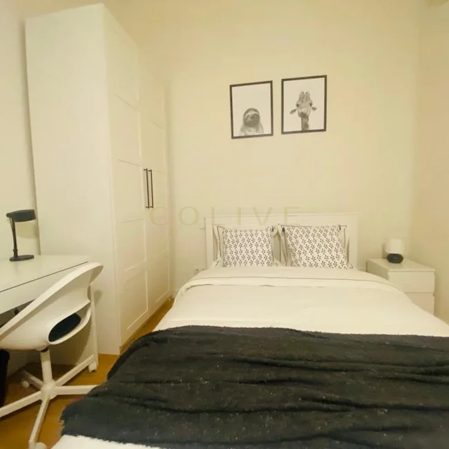 A105R3-Salamanca-Calle Alcala-7878