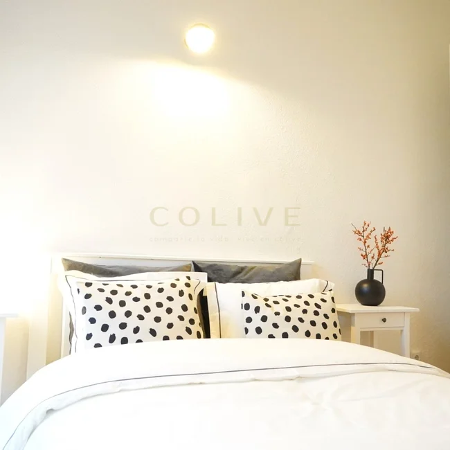 A105R8-Salamanca-Calle Alcala-7965