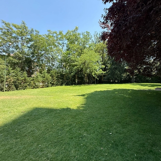 Chamartín-Cardenal Marcelo Spinola-1567