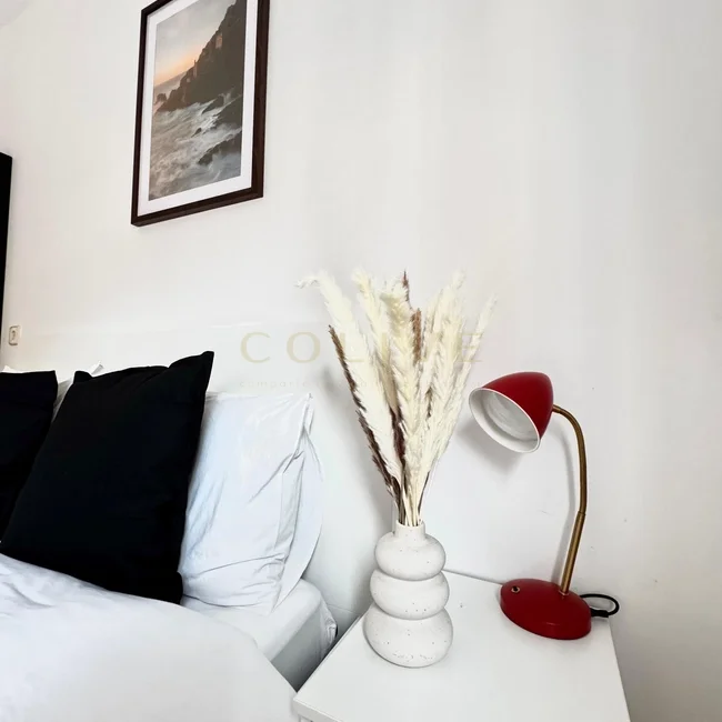 SRNR6-Chamartín-San Ramon Nonato-9261