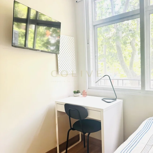 S81-1-IZQR2-Salamanca-Serrano-9469