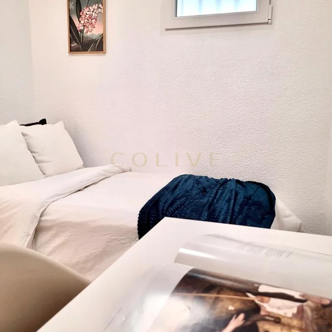 V4R5-Centro-de la Villa-7224