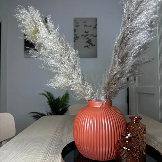 S81.1R3-Salamanca-Calle Serrano-9280