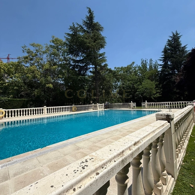 Chamartín-Cardenal Marcelo Spinola-1566