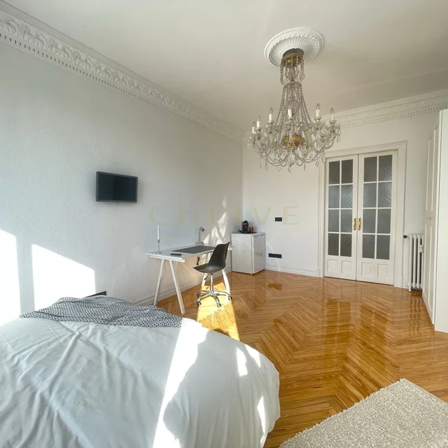 PR56R7-Moncloa-Aravaca-Paseo del Pintor Rosales-7060