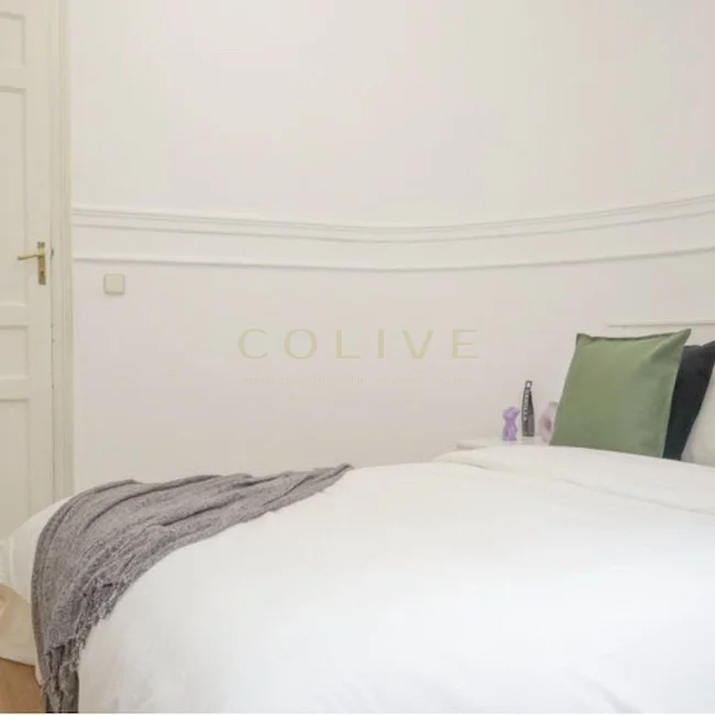 G41-5R6-Salamanca-Goya-6466