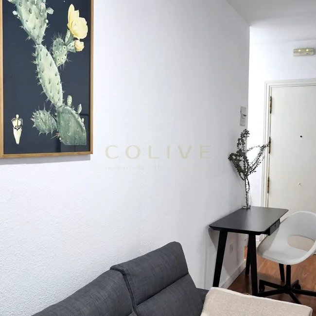 G83R3-Salamanca-Goya-8337